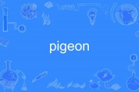 pigeon 鸽子 的复数形式是什么