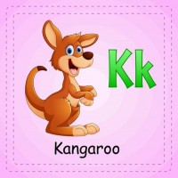 kangaroo 袋鼠 的复数形式是什么