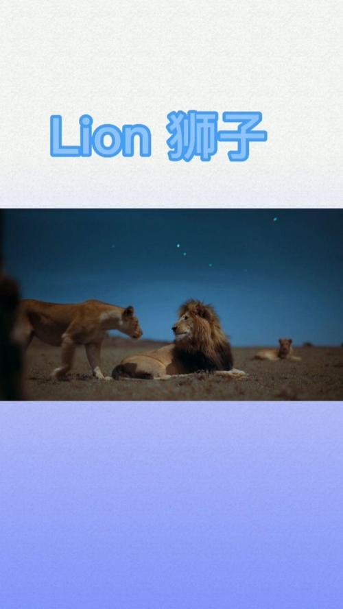 lion 狮子 的复数形式是什么
