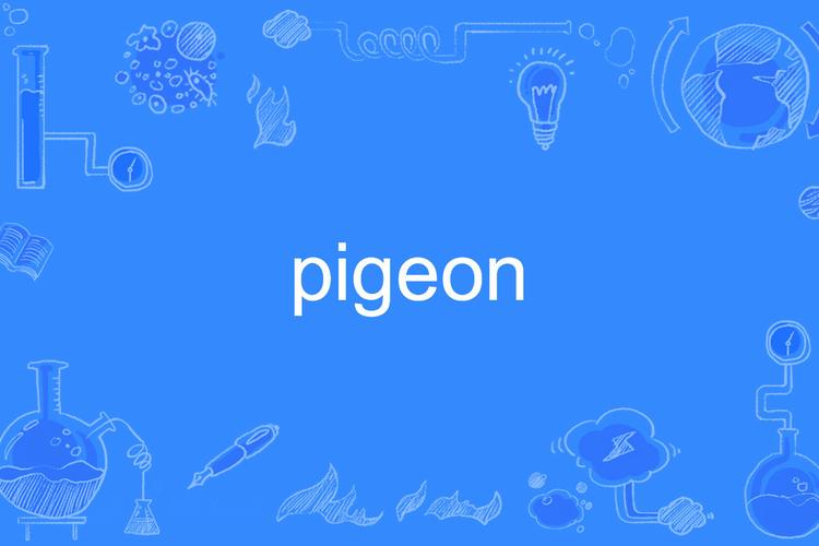 pigeon 鸽子 的复数形式是什么