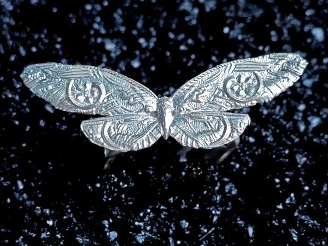 cicada 蝉 的复数形式是什么
