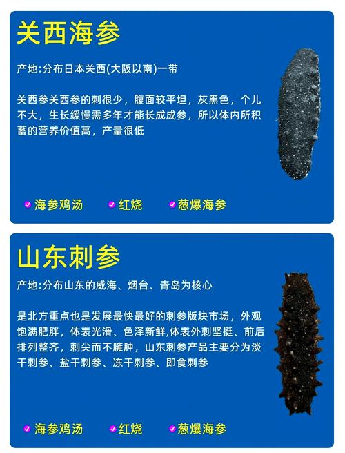 sea cucumber 海参 的复数形式是什么
